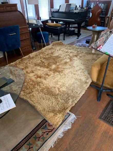 Photo of free Large gold shag rug (Berkeley) #1