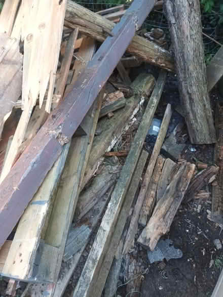 Photo of free Lots Of Scrap Wood (CT15) #1