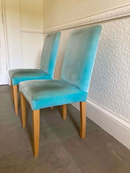 Photo of free Habitat Altea dining chairs x2 (Newington EH9) #3