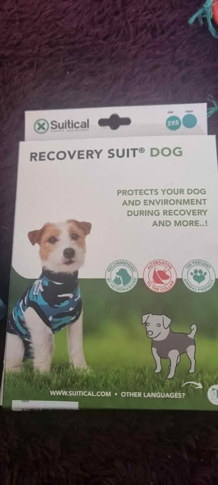 Photo of free Post surgery dog recovery suit (Hampstead Garden Suburb, NW11) #1