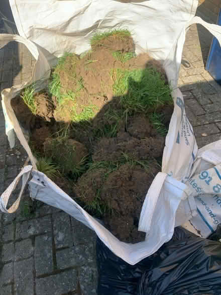 Photo of free Dug up tuff (Oxfordshire OX4) #3