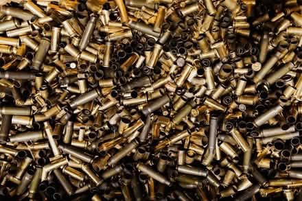 Photo of empty shells (Candor) #1