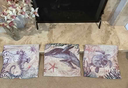 Photo of free 3 Outdoor Pillow Covers (Monta Vista North) #1