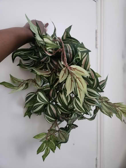 Photo of free Fake plants (W9 2AT) #2