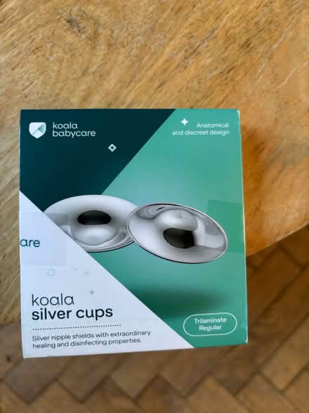 Photo of free Silver nipple shields (E17) #1