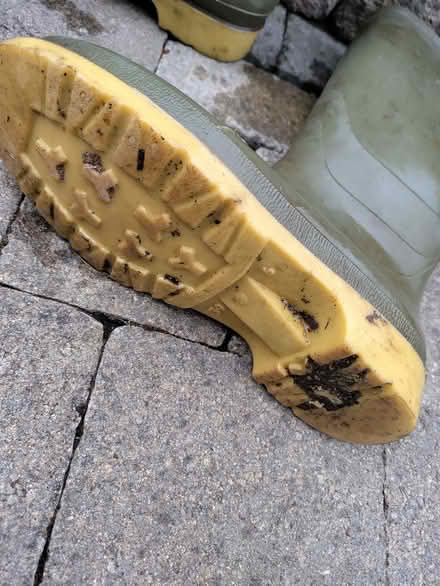 Photo of free Dunlop ladies wellington boots (California DE22) #2