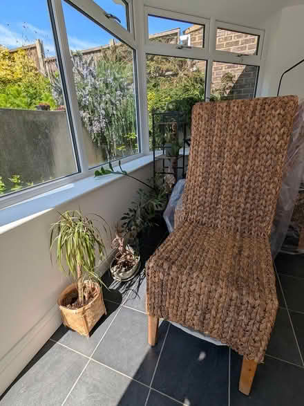 Photo of free Set of 4 Rattan chairs (Gillingham) #3
