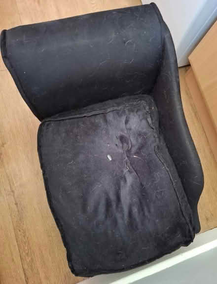 Photo of free Dog bed (Cleehill SY8) #2