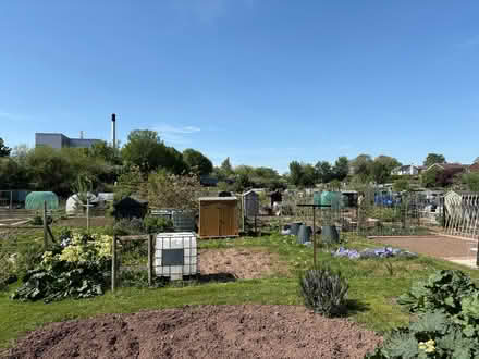 Photo of Donations for a new allotment (Hereford HR1) #1