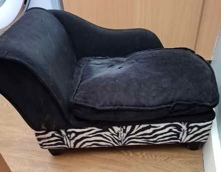 Photo of free Dog bed (Cleehill SY8) #1