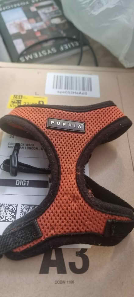 Photo of free Puppia dog harness (Hampstead Garden Suburb, NW11) #1