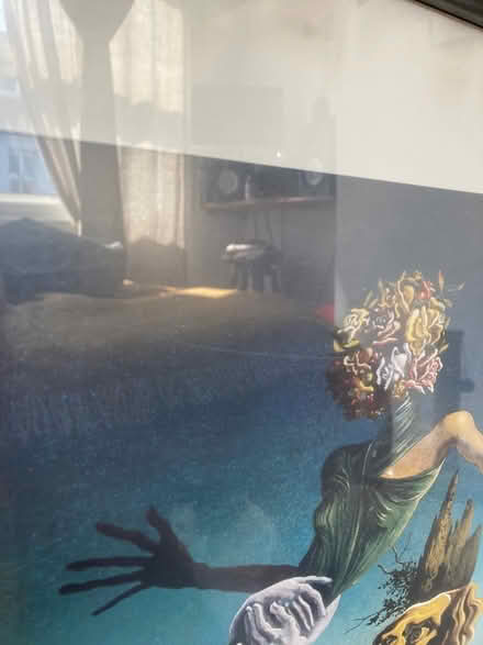 Photo of free Salvador Dali frame print large (Bn36fe) #3