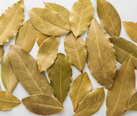 Photo of Bay leaves (Thornton Heath) #2