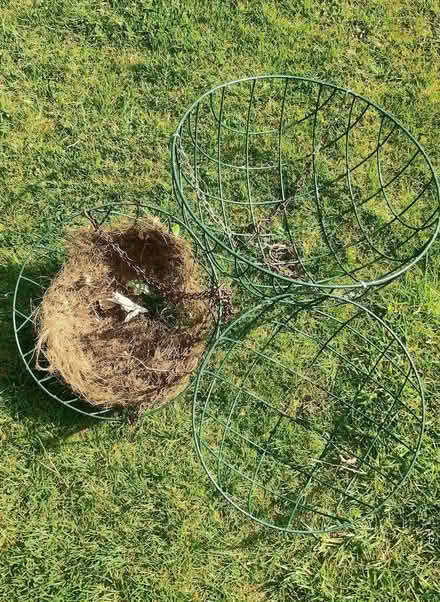 Photo of free Hanging Basket containers (Catton NR6) #1