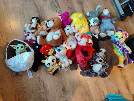 Photo of free A Load Of Soft Toys (Lowlands NP44) #2
