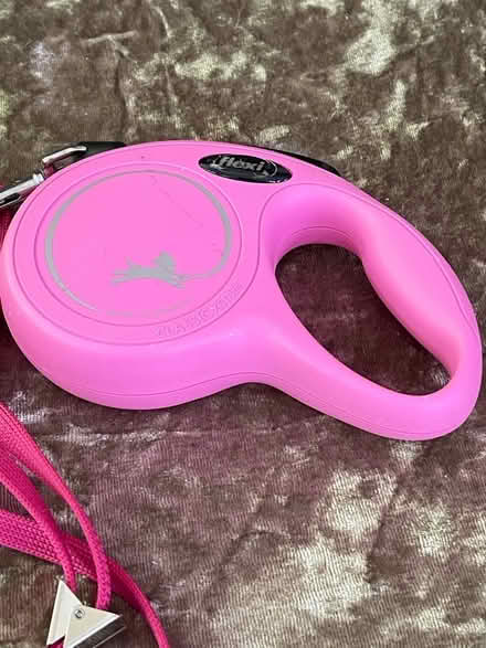 Photo of free New puppy retractable lead + mesh harness / pink (Furzton MK4) #3