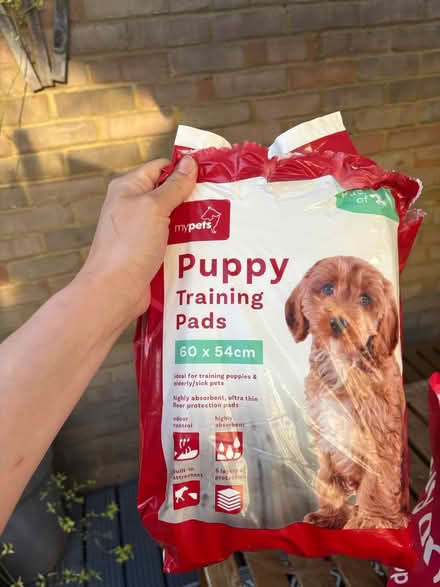 Photo of free Puppy training pads (MK3 west Bletchley) #1