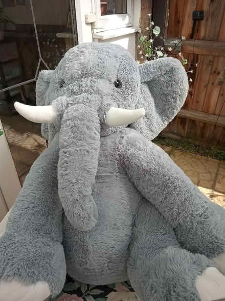Photo of free Large cuddly toy Elephant (Kempston MK42) #1