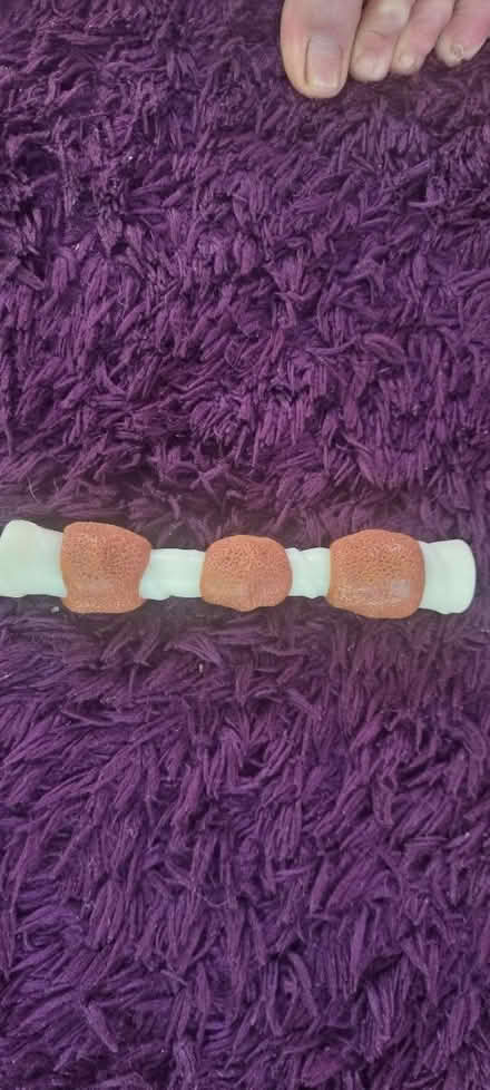 Photo of free Dog toy -bone (Hampstead Garden Suburb, NW11) #1
