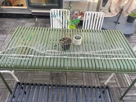 Photo of free Pigeon Spikes (Cobble) #1