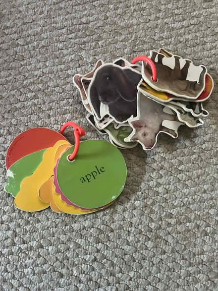 Photo of free Baby first educational cards (Wimbledon, SW19) #2