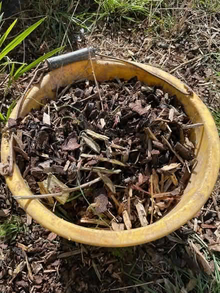 Photo of free Wood Chippings (Stocksbridge S36) #1