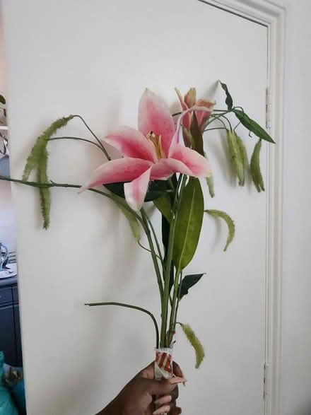 Photo of free Fake plants (W9 2AT) #1