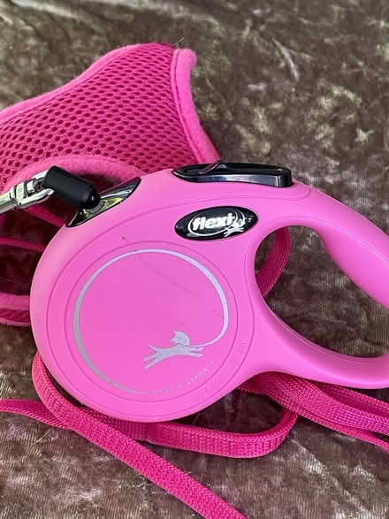 Photo of free New puppy retractable lead + mesh harness / pink (Furzton MK4) #1