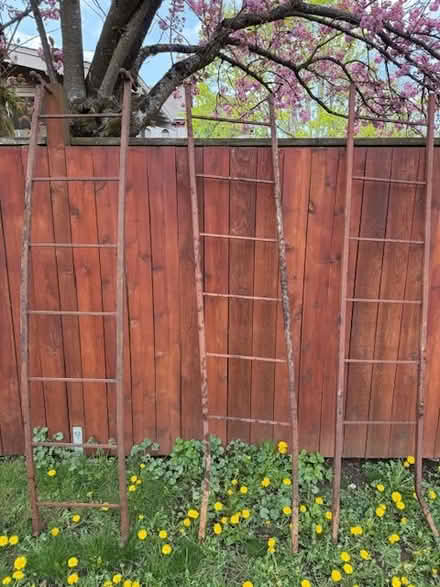 Photo of free Metal trellis (inner N/NE Portland) #3