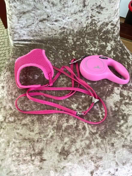 Photo of free New puppy retractable lead + mesh harness / pink (Furzton MK4) #2