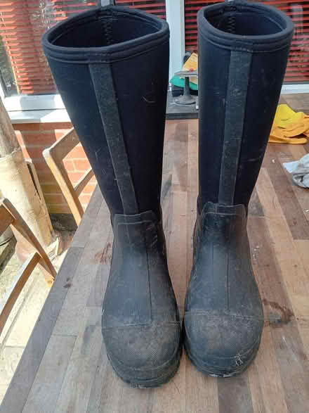 Photo of free Size 8 new wellies (Buriton GU31) #2