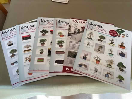 Photo of free Bonsia magazines (Newby. YO12) #2