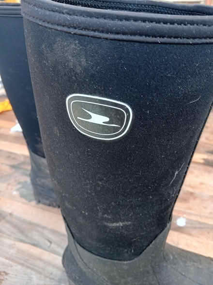 Photo of free Size 8 new wellies (Buriton GU31) #4