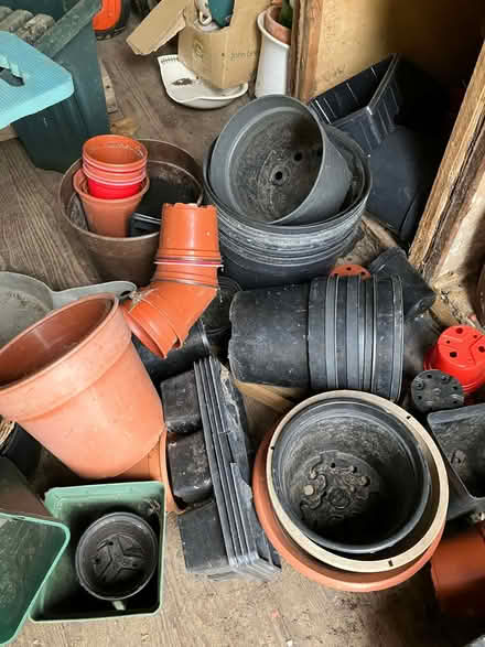 Photo of free plant pots of varying sizes (Pant SY10) #1