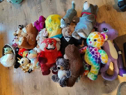 Photo of free A Load Of Soft Toys (Lowlands NP44) #1