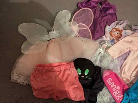 Photo of free Dressing up bits (Widcombe) #3