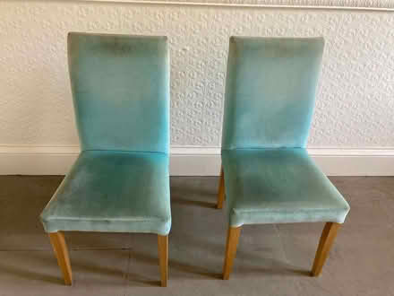 Photo of free Habitat Altea dining chairs x2 (Newington EH9) #1