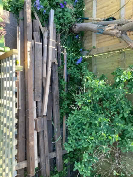 Photo of free Wood: random solid lengths from a loft conversion (Steyning BN44) #1