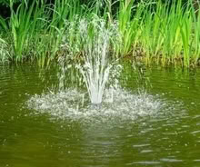 Photo of free Garden pond - pump equipment (Henleaze BS9) #1