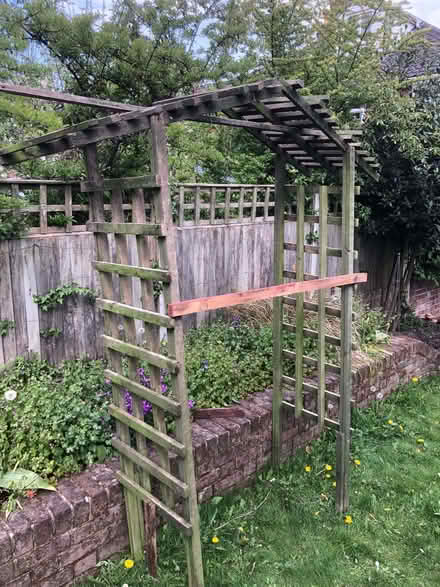 Photo of free Trellis including arch (Dereham Rd area NR2) #3