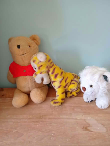 Photo of free 3 soft toys (Eastbourne BN20) #2