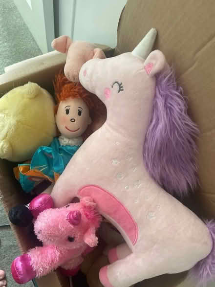 Photo of free Bundle of soft toys (Blacklands TN34) #1