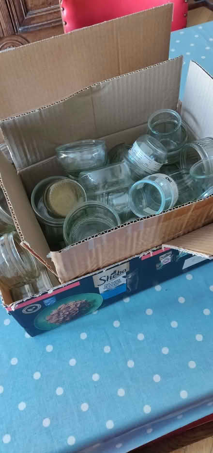 Photo of free Glass desert jars (Eastbourne BN22) #1