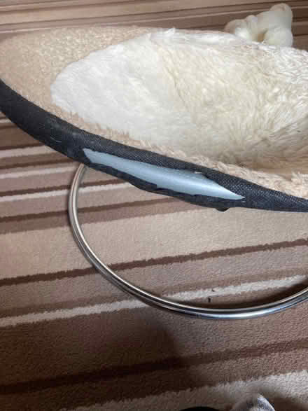 Photo of free Cat bed (DE6) #1
