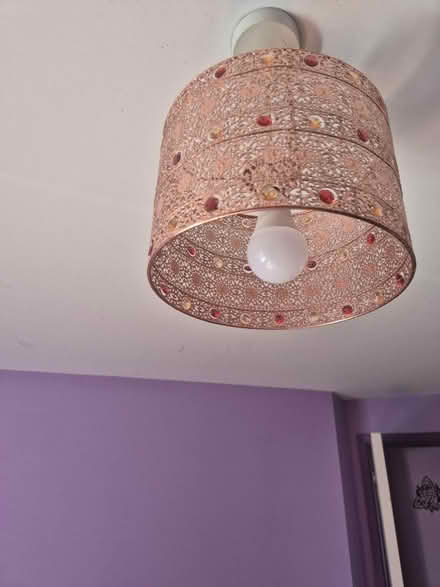 Photo of free Rose gold light shade (Little common TN39) #1