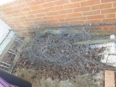 Photo of free Chicken wire (Letchworth SG6) #1