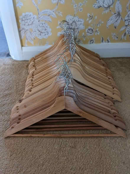 Photo of free Wooden hangers (Bletchingley RH1) #1