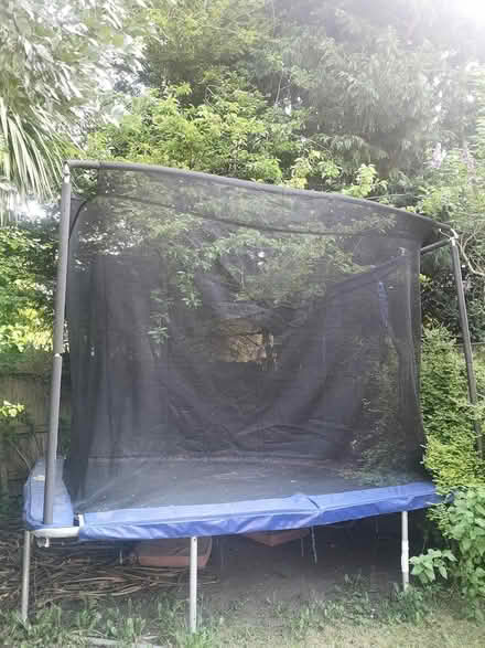 Photo of free Trampoline by Sportspower (Wollaton NG8) #2