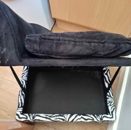 Photo of free Dog bed (Cleehill SY8) #3