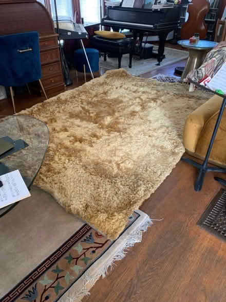 Photo of free Large gold shag rug (Berkeley) #2